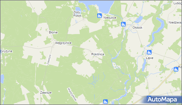 mapa Rokitnica gmina Skąpe, Rokitnica gmina Skąpe na mapie Targeo