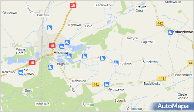 mapa Rudki gmina Miłosław, Rudki gmina Miłosław na mapie Targeo