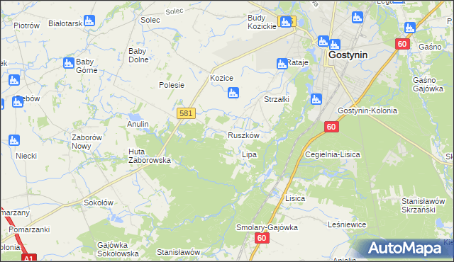 mapa Ruszków gmina Gostynin, Ruszków gmina Gostynin na mapie Targeo