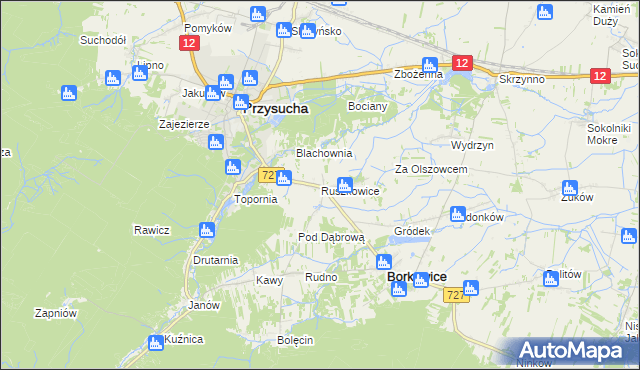 mapa Ruszkowice gmina Borkowice, Ruszkowice gmina Borkowice na mapie Targeo