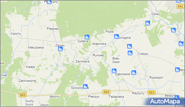 mapa Rynowo gmina Lubowidz, Rynowo gmina Lubowidz na mapie Targeo