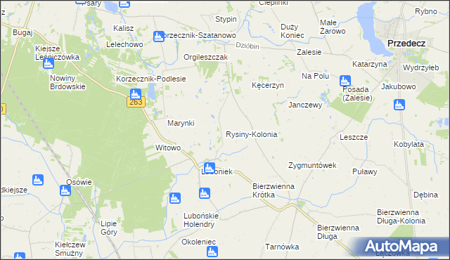 mapa Rysiny-Kolonia, Rysiny-Kolonia na mapie Targeo