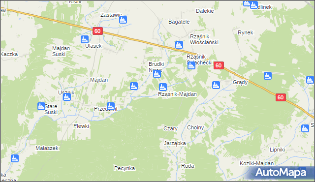 mapa Rząśnik-Majdan, Rząśnik-Majdan na mapie Targeo