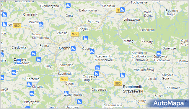 mapa Rzepiennik Marciszewski, Rzepiennik Marciszewski na mapie Targeo