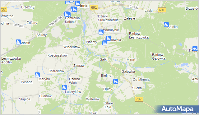 mapa Sałki gmina Pionki, Sałki gmina Pionki na mapie Targeo