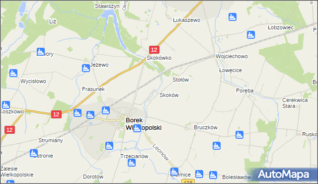 mapa Skoków gmina Borek Wielkopolski, Skoków gmina Borek Wielkopolski na mapie Targeo