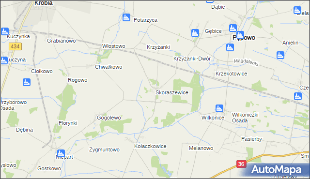 mapa Skoraszewice, Skoraszewice na mapie Targeo