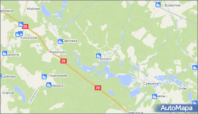 mapa Skórzyn gmina Maszewo, Skórzyn gmina Maszewo na mapie Targeo