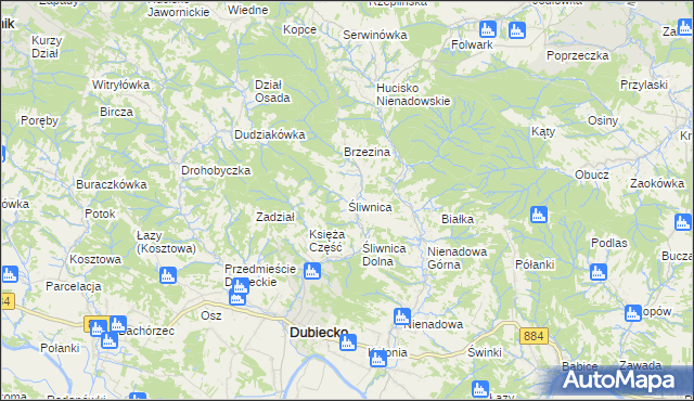 mapa Śliwnica gmina Dubiecko, Śliwnica gmina Dubiecko na mapie Targeo