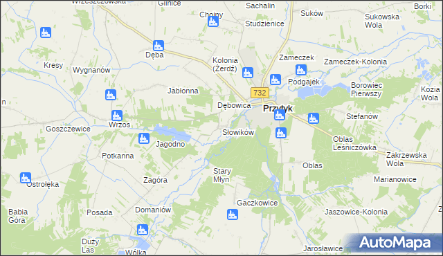 mapa Słowików gmina Przytyk, Słowików gmina Przytyk na mapie Targeo