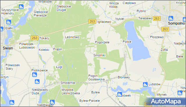 mapa Smolniki gmina Ślesin, Smolniki gmina Ślesin na mapie Targeo