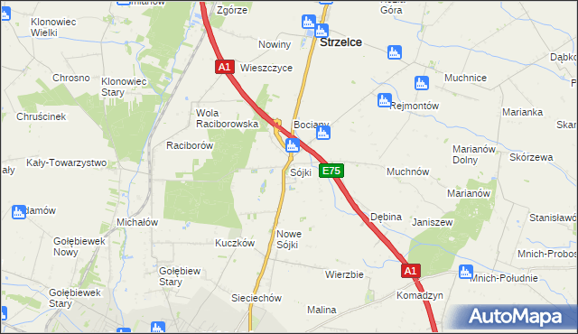 mapa Sójki gmina Strzelce, Sójki gmina Strzelce na mapie Targeo