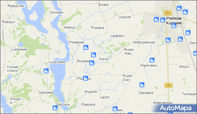 mapa Sokoły gmina Piotrków Kujawski, Sokoły gmina Piotrków Kujawski na mapie Targeo