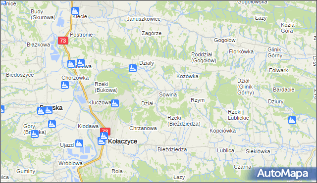 mapa Sowina gmina Kołaczyce, Sowina gmina Kołaczyce na mapie Targeo