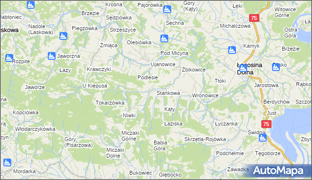 mapa Stańkowa gmina Łososina Dolna, Stańkowa gmina Łososina Dolna na mapie Targeo