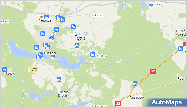 mapa Strzaliny, Strzaliny na mapie Targeo