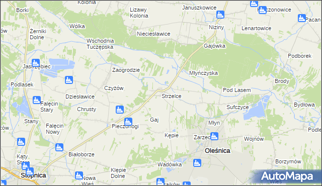 mapa Strzelce gmina Oleśnica, Strzelce gmina Oleśnica na mapie Targeo