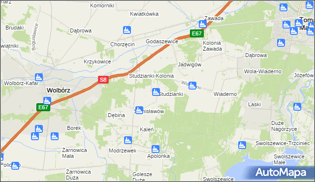 mapa Studzianki gmina Wolbórz, Studzianki gmina Wolbórz na mapie Targeo