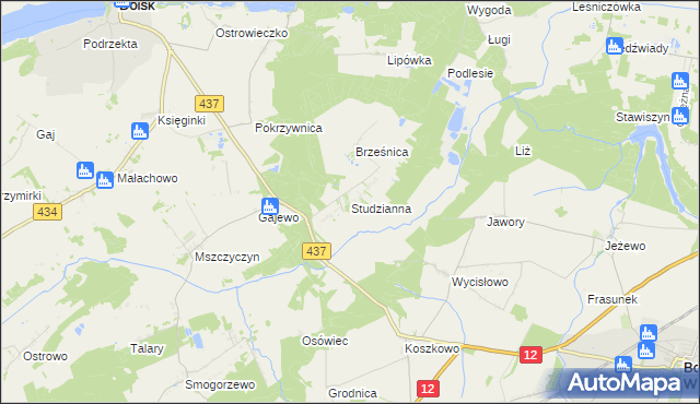 mapa Studzianna gmina Borek Wielkopolski, Studzianna gmina Borek Wielkopolski na mapie Targeo