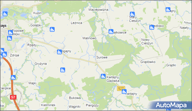 mapa Surowe gmina Pasłęk, Surowe gmina Pasłęk na mapie Targeo