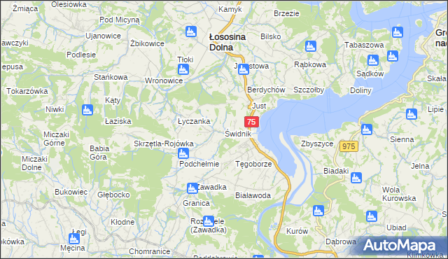 mapa Świdnik gmina Łososina Dolna, Świdnik gmina Łososina Dolna na mapie Targeo