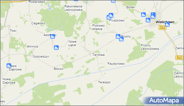 mapa Tarnowa gmina Rakoniewice, Tarnowa gmina Rakoniewice na mapie Targeo