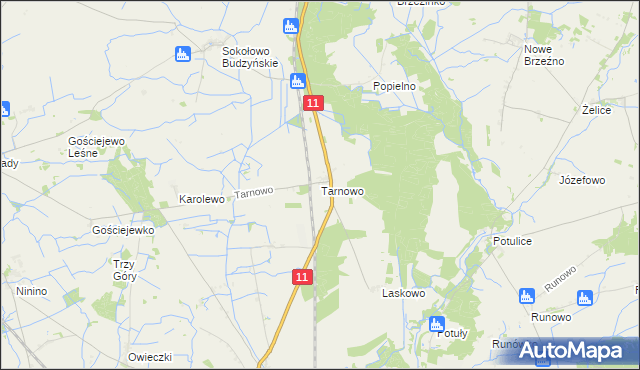 mapa Tarnowo gmina Rogoźno, Tarnowo gmina Rogoźno na mapie Targeo