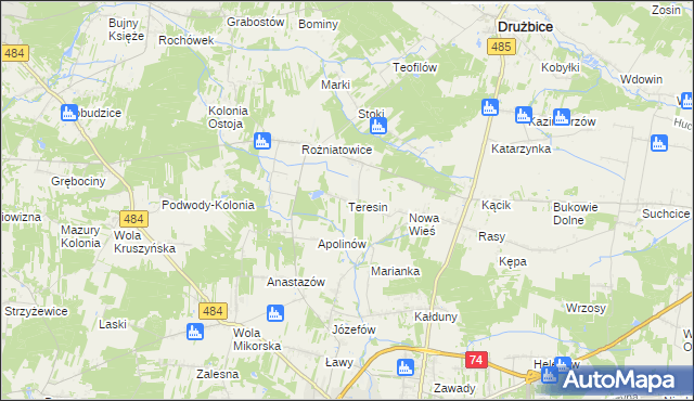 mapa Teresin gmina Drużbice, Teresin gmina Drużbice na mapie Targeo