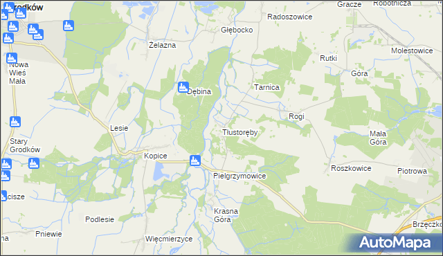 mapa Tłustoręby, Tłustoręby na mapie Targeo