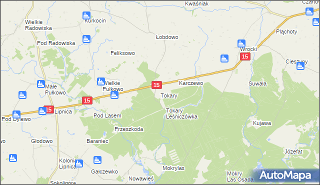 mapa Tokary gmina Golub-Dobrzyń, Tokary gmina Golub-Dobrzyń na mapie Targeo