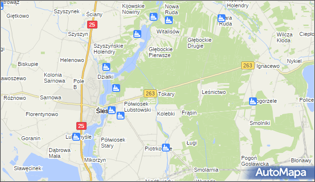 mapa Tokary gmina Ślesin, Tokary gmina Ślesin na mapie Targeo