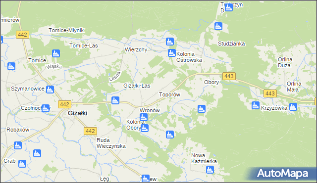 mapa Toporów gmina Gizałki, Toporów gmina Gizałki na mapie Targeo