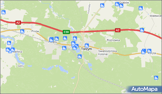 mapa Torzym, Torzym na mapie Targeo