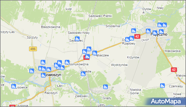 mapa Trębaczew gmina Działoszyn, Trębaczew gmina Działoszyn na mapie Targeo