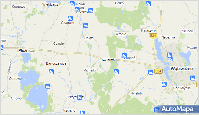 mapa Trzcianek, Trzcianek na mapie Targeo