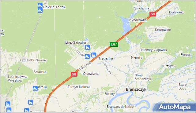 mapa Trzcianka gmina Brańszczyk, Trzcianka gmina Brańszczyk na mapie Targeo