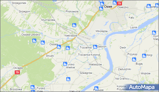 mapa Trzcianka gmina Osiek, Trzcianka gmina Osiek na mapie Targeo