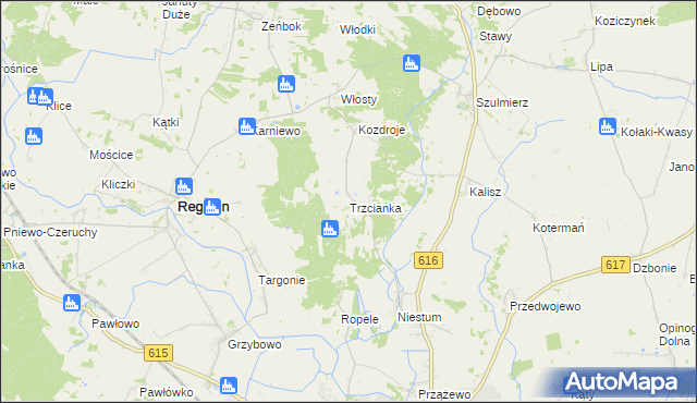 mapa Trzcianka gmina Regimin, Trzcianka gmina Regimin na mapie Targeo