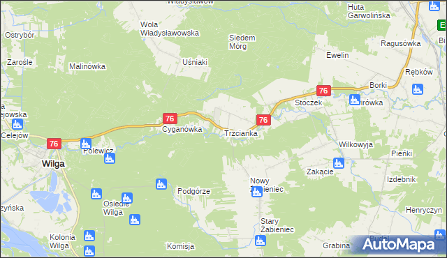 mapa Trzcianka gmina Wilga, Trzcianka gmina Wilga na mapie Targeo