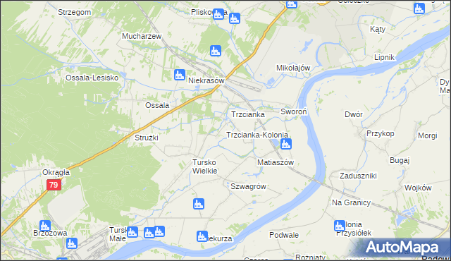 mapa Trzcianka-Kolonia gmina Osiek, Trzcianka-Kolonia gmina Osiek na mapie Targeo