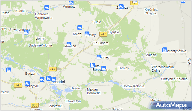 mapa Trzciniec gmina Chodel, Trzciniec gmina Chodel na mapie Targeo