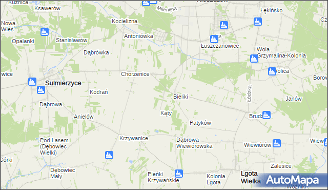 mapa Trzciniec gmina Sulmierzyce, Trzciniec gmina Sulmierzyce na mapie Targeo
