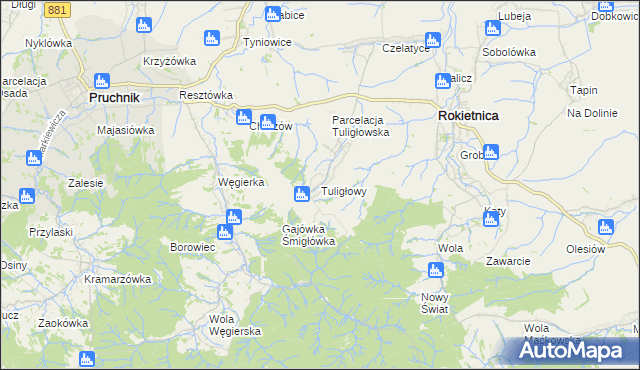 mapa Tuligłowy gmina Rokietnica, Tuligłowy gmina Rokietnica na mapie Targeo