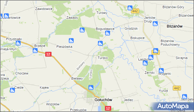 mapa Tursko gmina Gołuchów, Tursko gmina Gołuchów na mapie Targeo