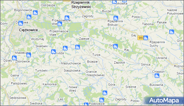 mapa Turza gmina Rzepiennik Strzyżewski, Turza gmina Rzepiennik Strzyżewski na mapie Targeo