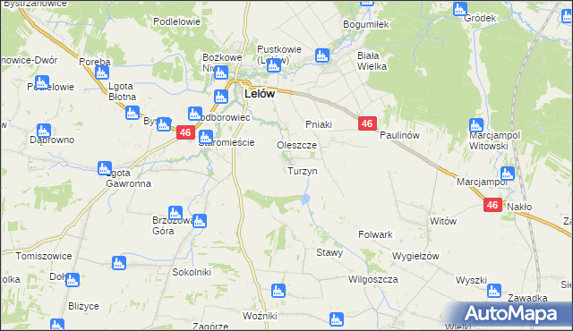 mapa Turzyn gmina Lelów, Turzyn gmina Lelów na mapie Targeo