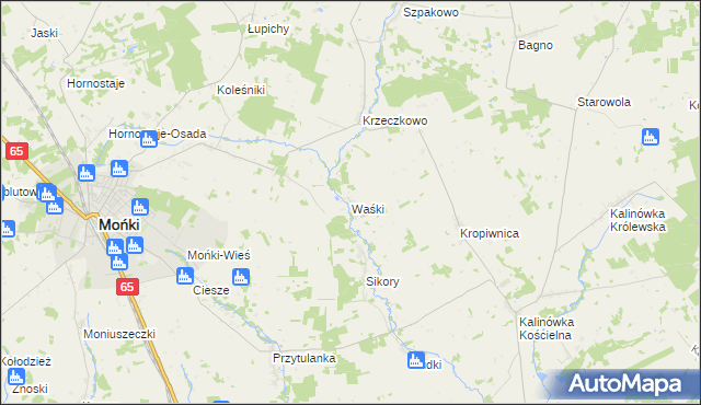 mapa Waśki gmina Mońki, Waśki gmina Mońki na mapie Targeo