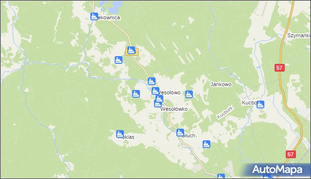 mapa Wesołowo gmina Wielbark, Wesołowo gmina Wielbark na mapie Targeo