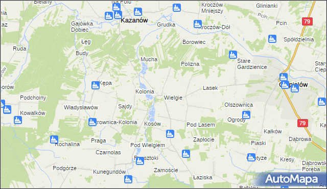 mapa Wielgie gmina Ciepielów, Wielgie gmina Ciepielów na mapie Targeo