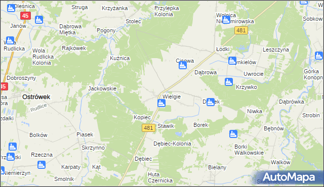 mapa Wielgie gmina Ostrówek, Wielgie gmina Ostrówek na mapie Targeo